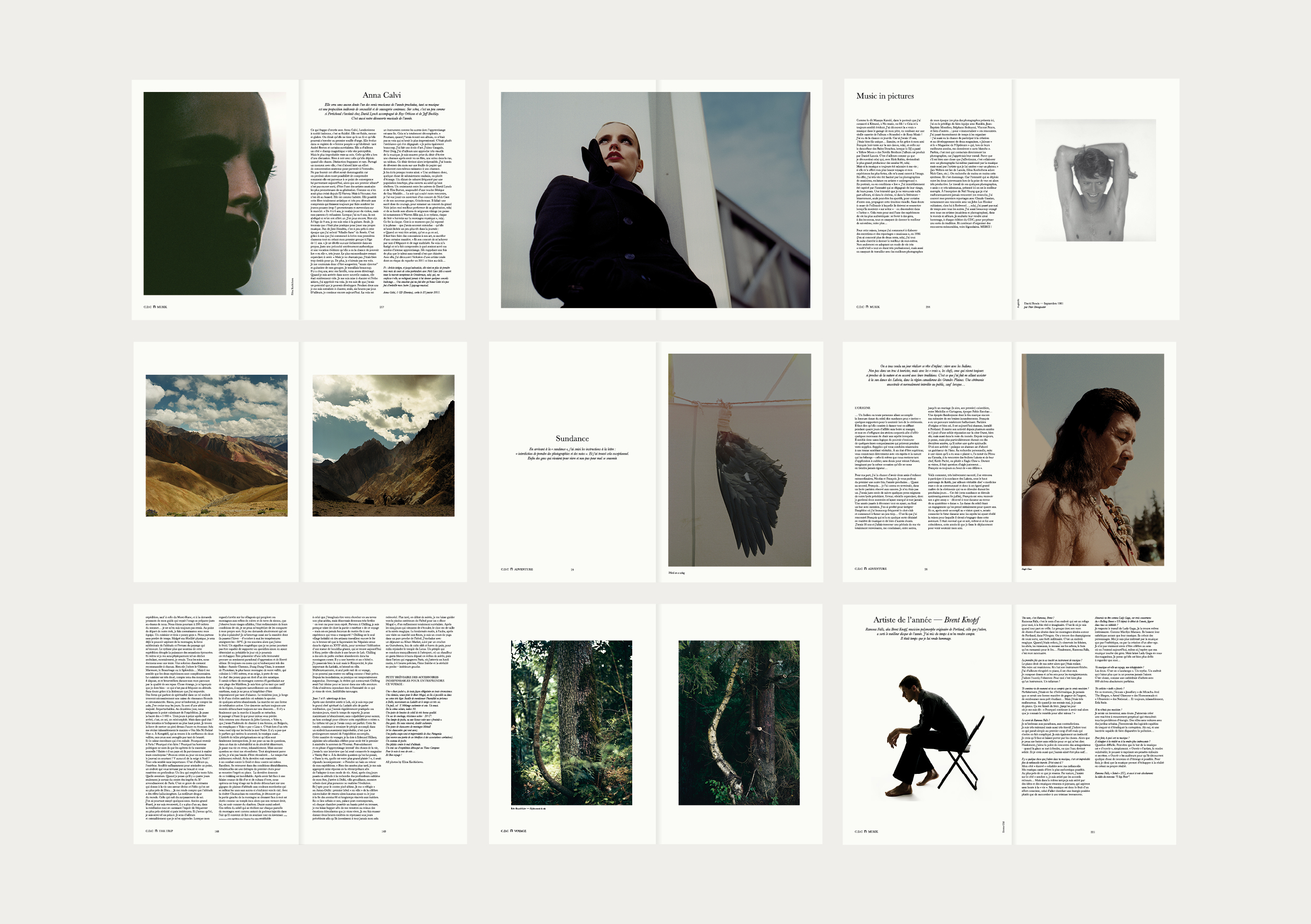 Le Cabinet de Curiosités